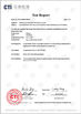 चीन Dongguan Ruichen Sealing Co., Ltd. प्रमाणपत्र